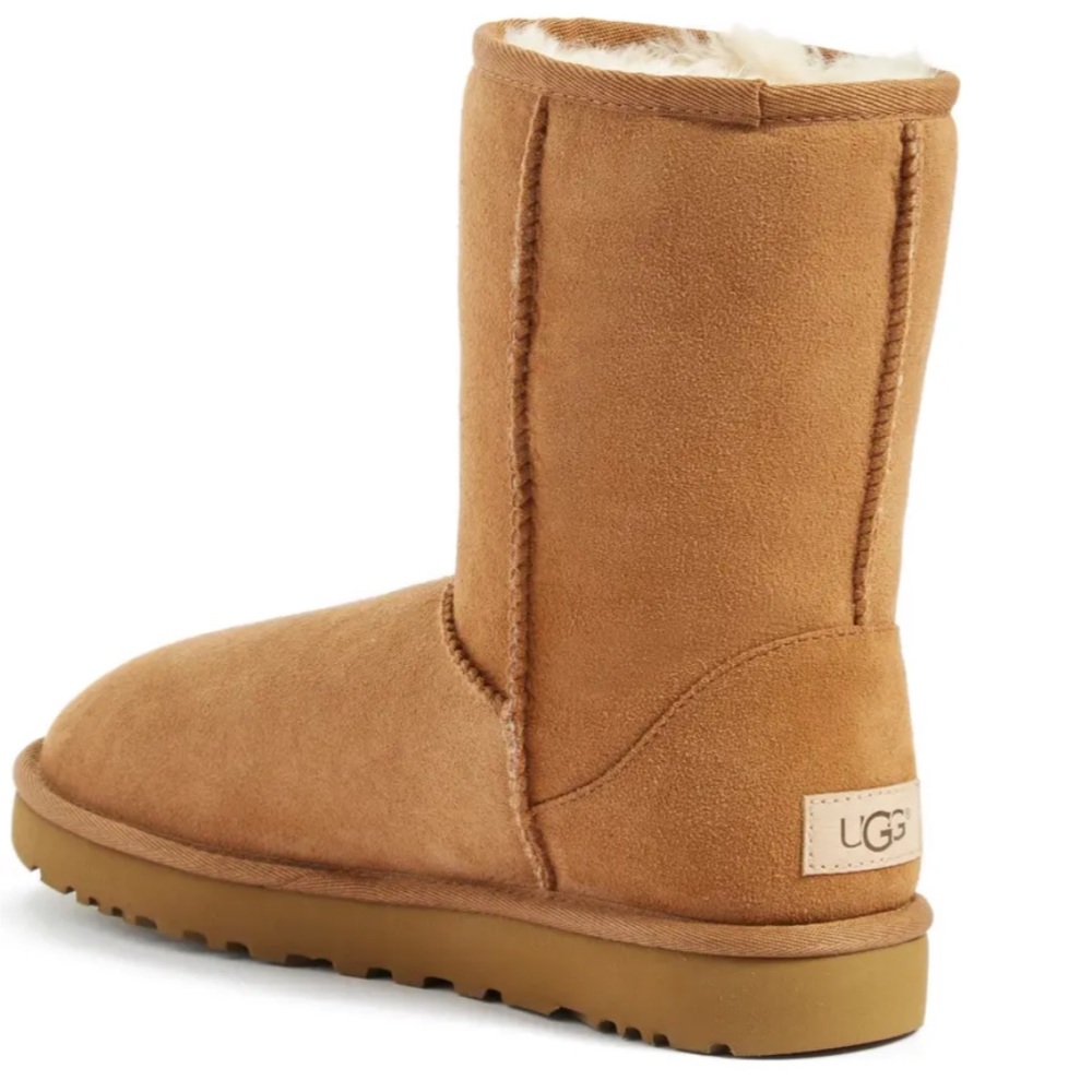 Chestnut Uggs - Picture 3 of 5